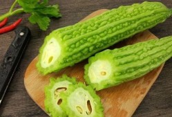 娱乐吃瓜场地是什么